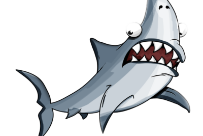 Berberechos (Cerastoderma edule)